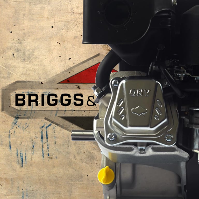 Briggs and Stratton 19L232-0054-G1 Parts Diagram and Manuals | L&S ...