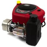 Briggs & Stratton 21R702-0070-F1 Vertical Shaft Engine