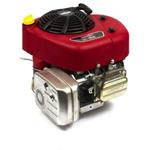 Briggs & Stratton 21R707-0047-G1 Vertical Shaft Engine