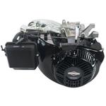 Briggs & Stratton 25P132-0003-G1 Horizontal Shaft Engine