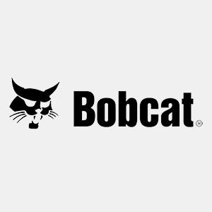 Bobcat