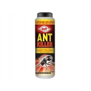 Ant Treatment