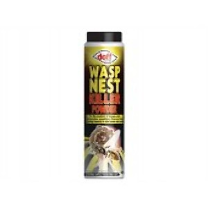 Wasp & Flying Insect Control