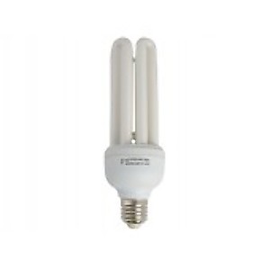 Compact Fluorescent Bulbs