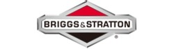 briggs-stratton_10_34.jpg
