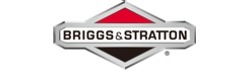 briggs-stratton_6_16.jpg