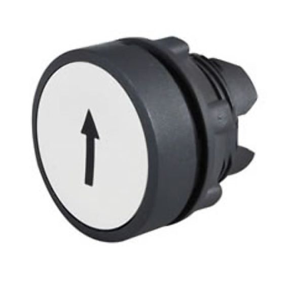 White Flush Push Button Spring Return Black Arrow on White Face - Each - 0-657-31