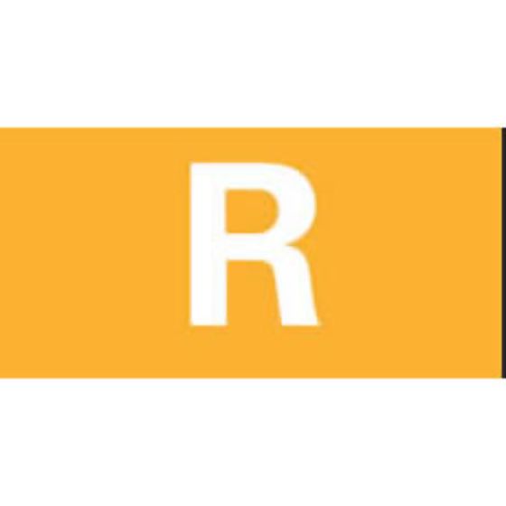 Amber Right Rocker Switch Lens - bottom half - Each - 5-792-51