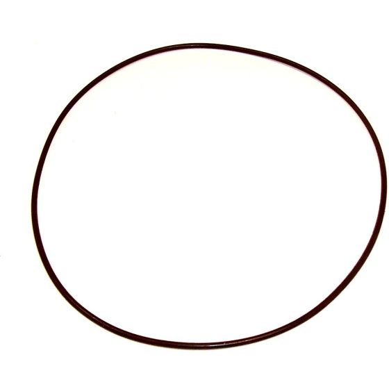 Large O Ring for Daishin Hilta SCR50 2" Pump - 0002522