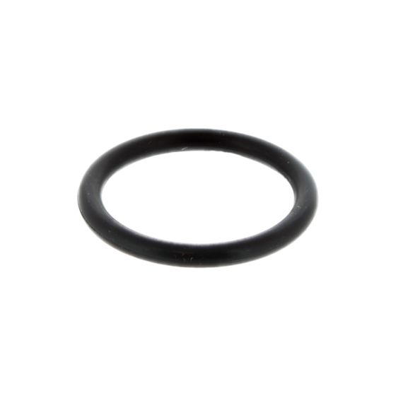 O Ring For Plug Primer PG2A Water Pump - OEM No. 0054958