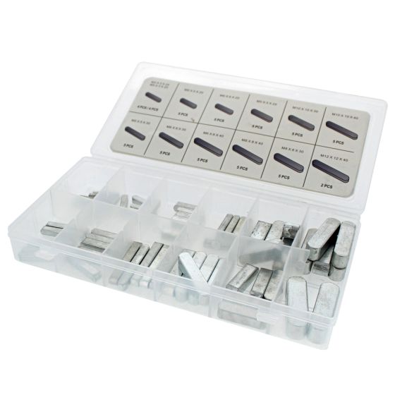 Assorted Steel Feather Keys Workshop Kit - Metric 13 sizes (60pcs)