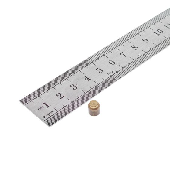 Governor Friction Plunger for Jap Models 4/3, 5, 6, 55 Industrial Engine - 18625/1