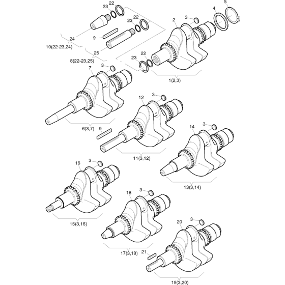 Crankshaft Assembly for Hatz 1B50 (50.16) (50.13) M Basic Engine