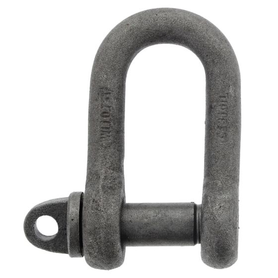 Alloy Steel Tested D Lifting Shackles with Screw Collar Pin