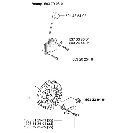 Ignition System for Husqvarna 225 L