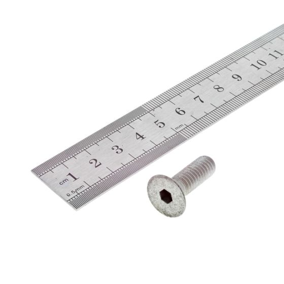 End Cover CSK Fixing Screws for Villiers C45 Industrial Engine - 30953