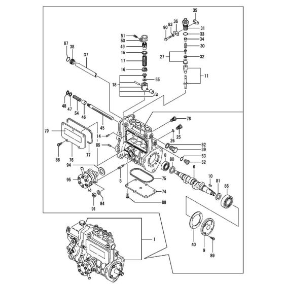 Fuel Injection Pump Assembly