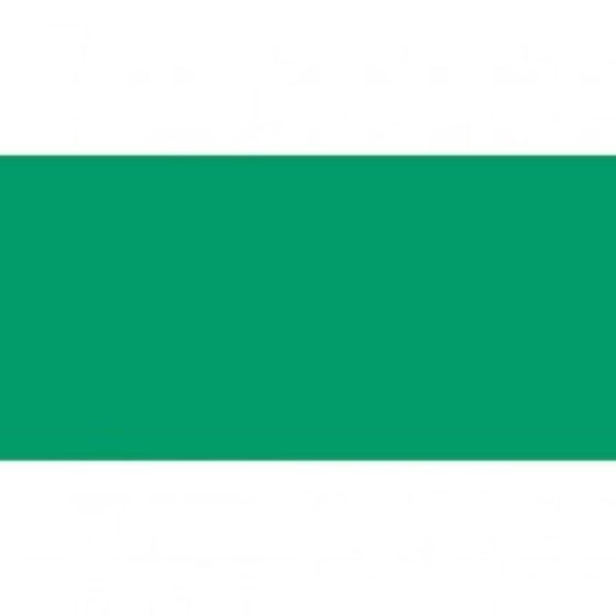 Blank Green Rocker Switch Lens - bottom half - Each - 5-792-94