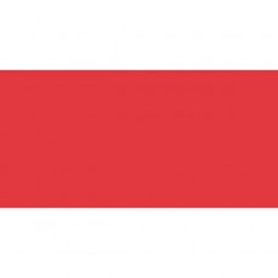 Blank Red Rocker Switch Lens - bottom half - Each - 5-792-95