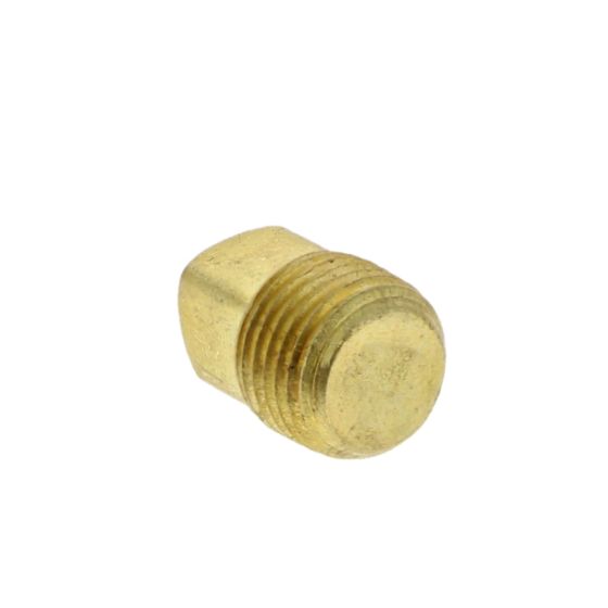 Pipe Plug for Wacker Neuson CRT36, CRT48 Power Trowel - OEM No. 5000172971