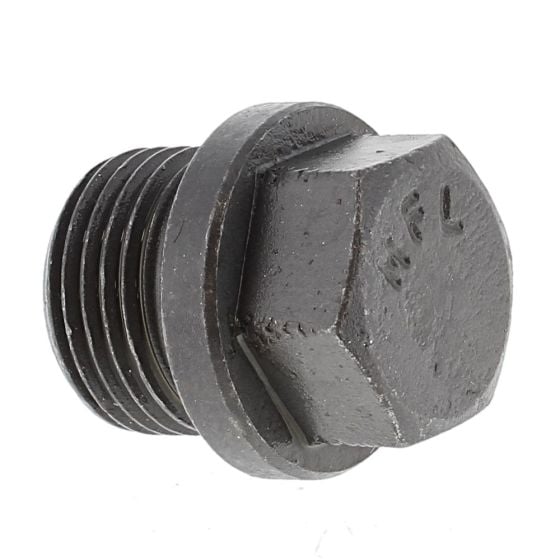 Screw M18 x 1.5 for Hatz 2L40, 3L40, 4L40 Engines - 50044200