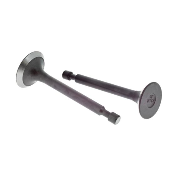 Valve Assy for Loncin LC1P61FA, LC1P65FA Engines - OEM No. 500550034-0001