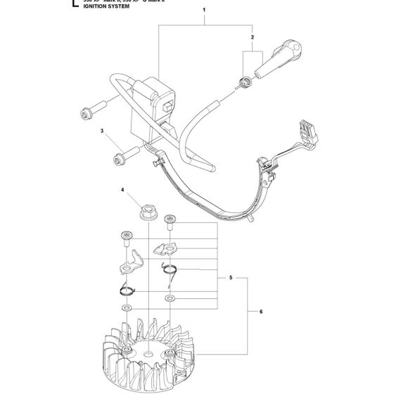 Ignition System for 550XPG