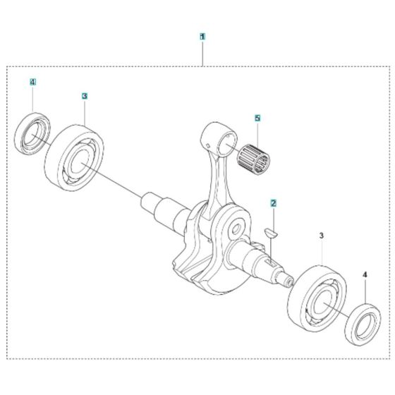 Crankshaft Assembly for 590BTS