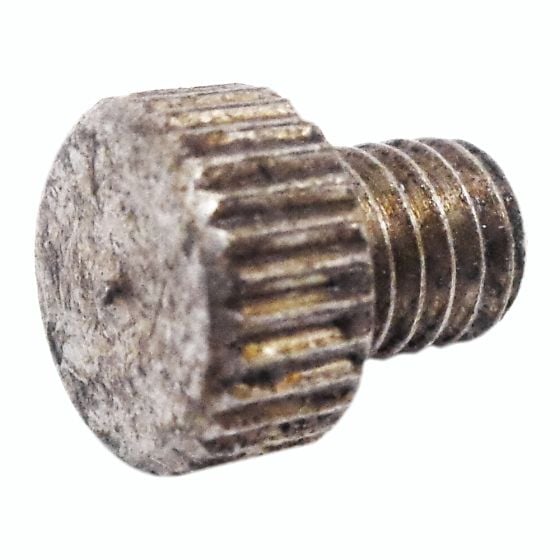 Fuel Filter Bleed Screw for Lister LT LV Engines - 601 21620