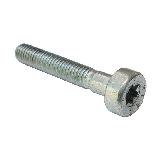 Spline Screw M5 x 30 for Stihl TS410 TS420 - 9022 341 1070