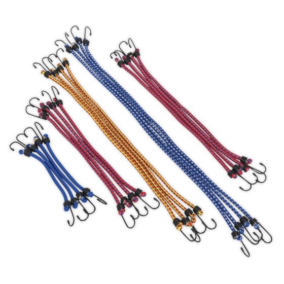 Elastic Cord Set 20pc Sealey Part No. BCS20