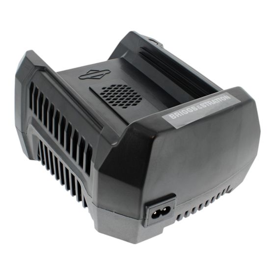 Battery Charger 220v - Genuine Briggs & Stratton - 1760264