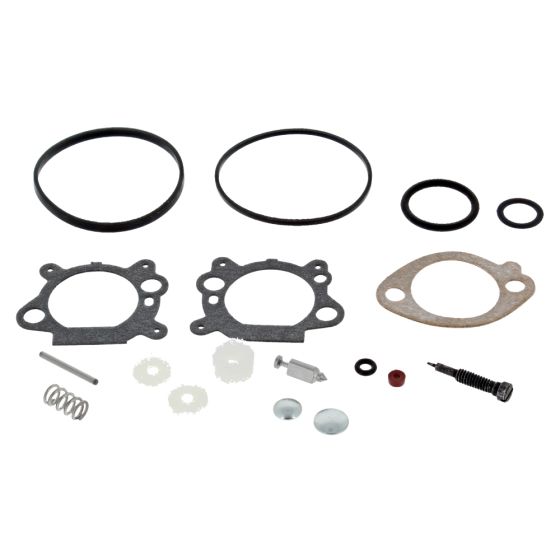 Carb Overhaul Kit for Briggs & Stratton 126M02-1005-F1 650 Engine - OEM No. 498260