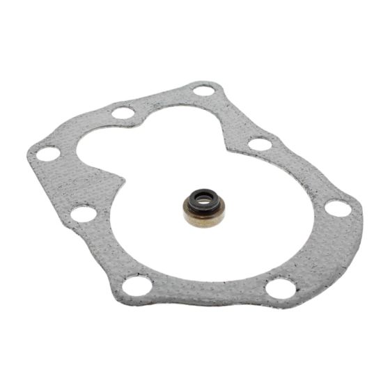 Gasket Set-Valve for Briggs & Stratton 09T502-0134-H1 450 Series Engine - 498526