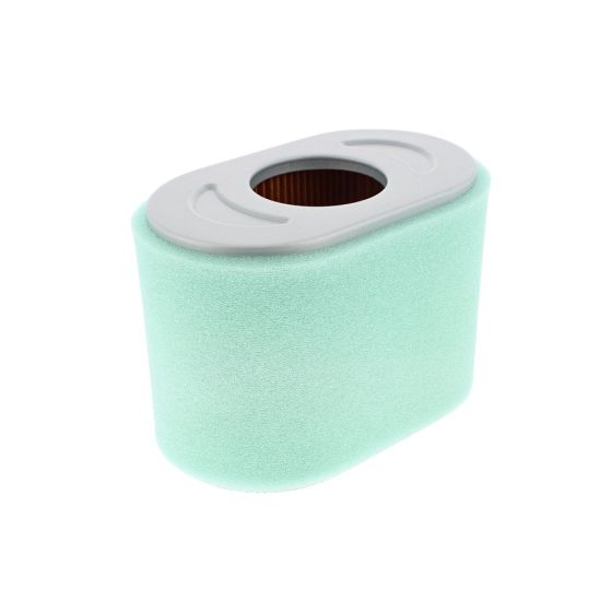 Air Filter for Briggs & Stratton 25T237-0045-F1, 25T232-0037-F1 Engines - 591338