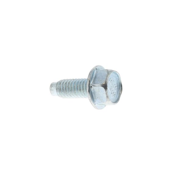 Screw for Briggs & Stratton 100602 Engines - 699481