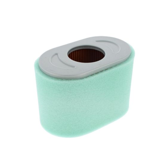 Air Cleaner Filter for Briggs & Stratton 19L232-0036-F1 10 HP Series Engine - OEM No. 797032