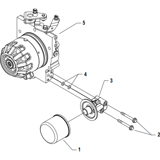 Filter Unit (2) Assembly for Camon C10 (PowerSafe) Rotovators