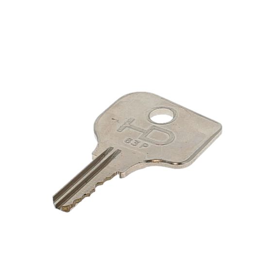 Replacement Plant Key - C105 - Sold Individually (SINGLE SIDED)