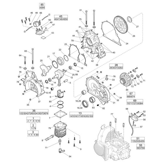 Motor Assembly for Cobra PROe