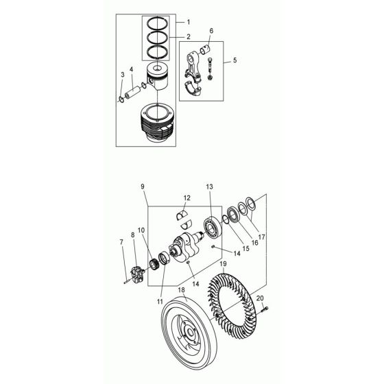 Cylinder, Piston Assembly