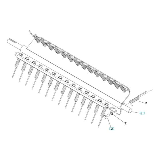 Spring Tine Assembly