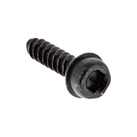 Bolt for ECHO CS-420ES, CS-420EMS Chainsaws - OEM No. V203002190