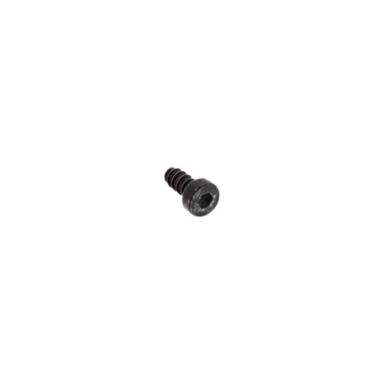 Screw for ECHO PPT-2620HES, PPT-300ES, PPT-2620ES Pole Pruners - OEM No. V252000040
