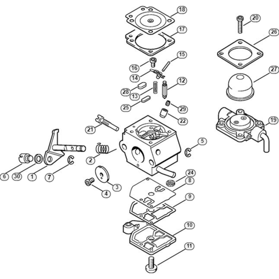 Carburetor C1Q-S53 Assembly for Stihl FC 55 DZ Lawn Edger