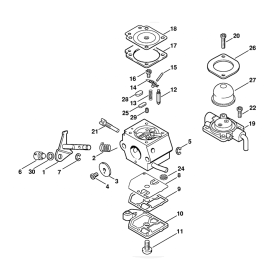 Stihl FS55 Carburetor Assembly
