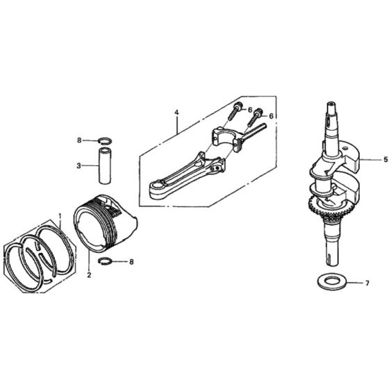 Crankshaft/Piston for Honda HRG536C1 - SDT/A Lawnmower