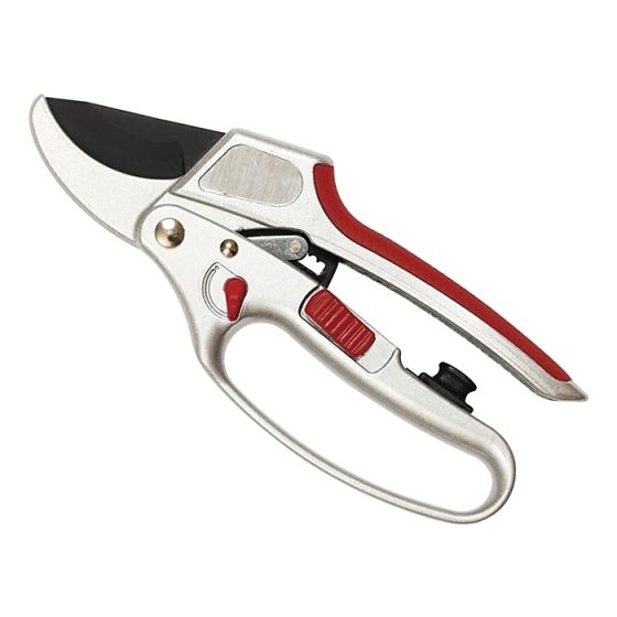 Ratchet Secateurs by Kent & Stowe - 70100605