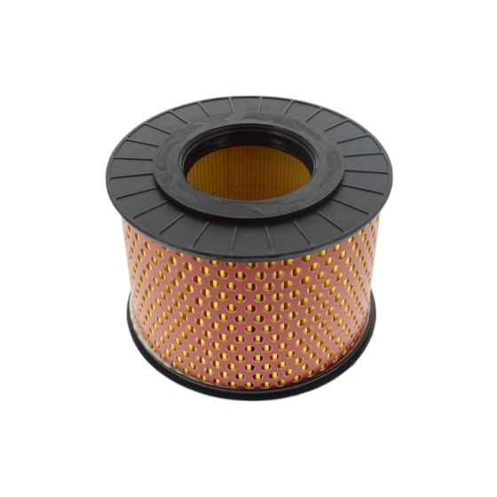 Air Filter fits Hatz 1B20, 1B30 Engine - Replaces 01391800