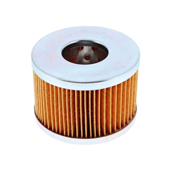Fuel Filter for Hayer T 224, T 24 Mowers
